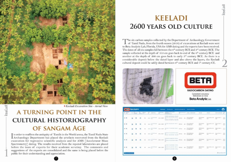 A Deep Dive into Tamil Heritage